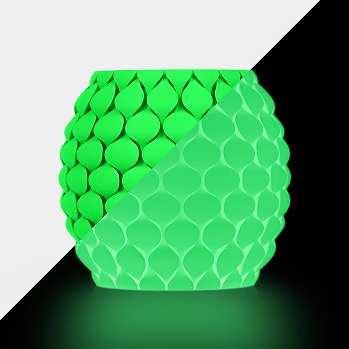 [Promo Rientro a Scuola] PETG Glow in the Dark,Filamento PETG Fluorescente (Luminoso al Buio) per Stampante 3D - 1KG