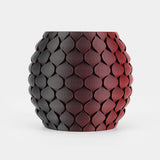 Black+Red