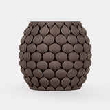 Walnut Wood