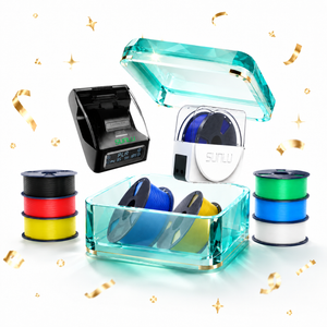 Mystery Blind Box del 13° Anniversario – Edizione Standard